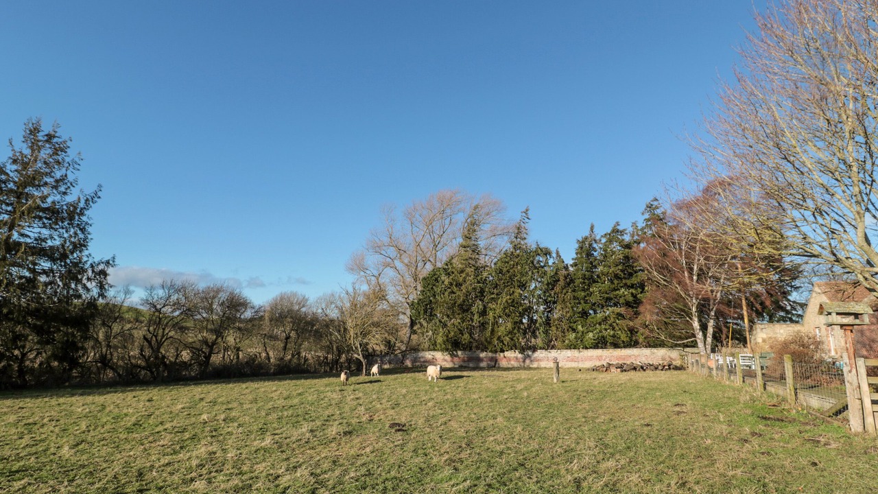 Photo of Others in Ford