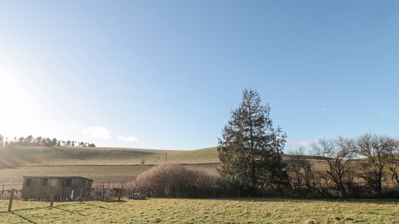 Photo of Others in Ford