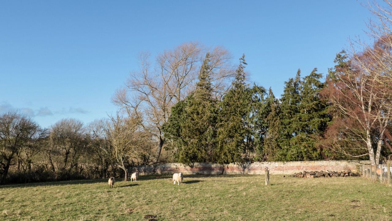 Photo of Others in Ford