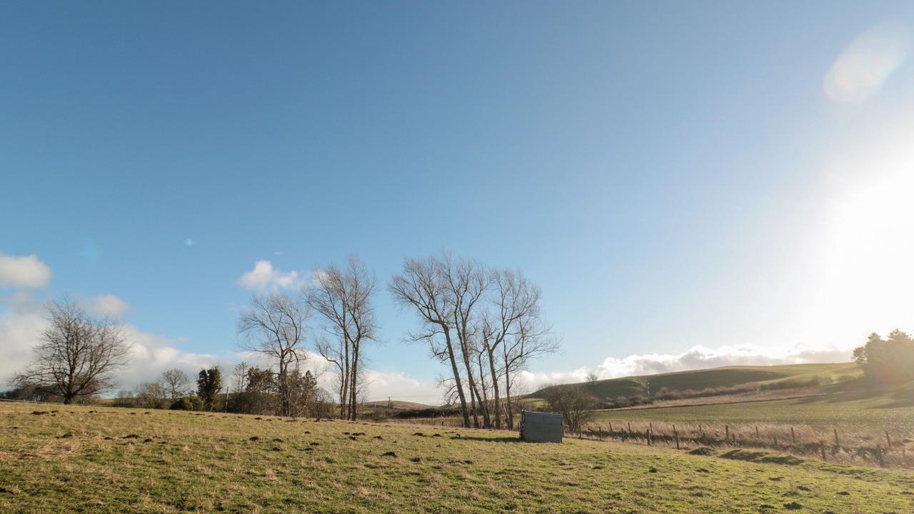 Photo of Others in Ford