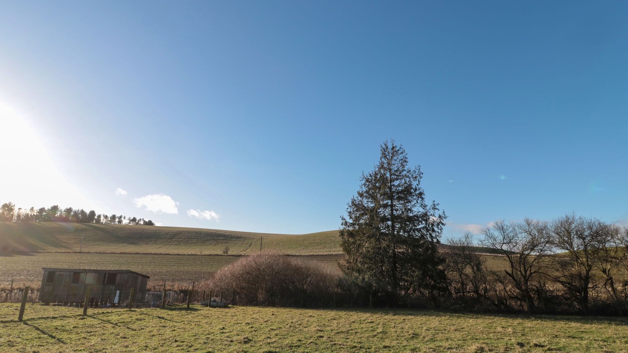 Photo of Others in Ford