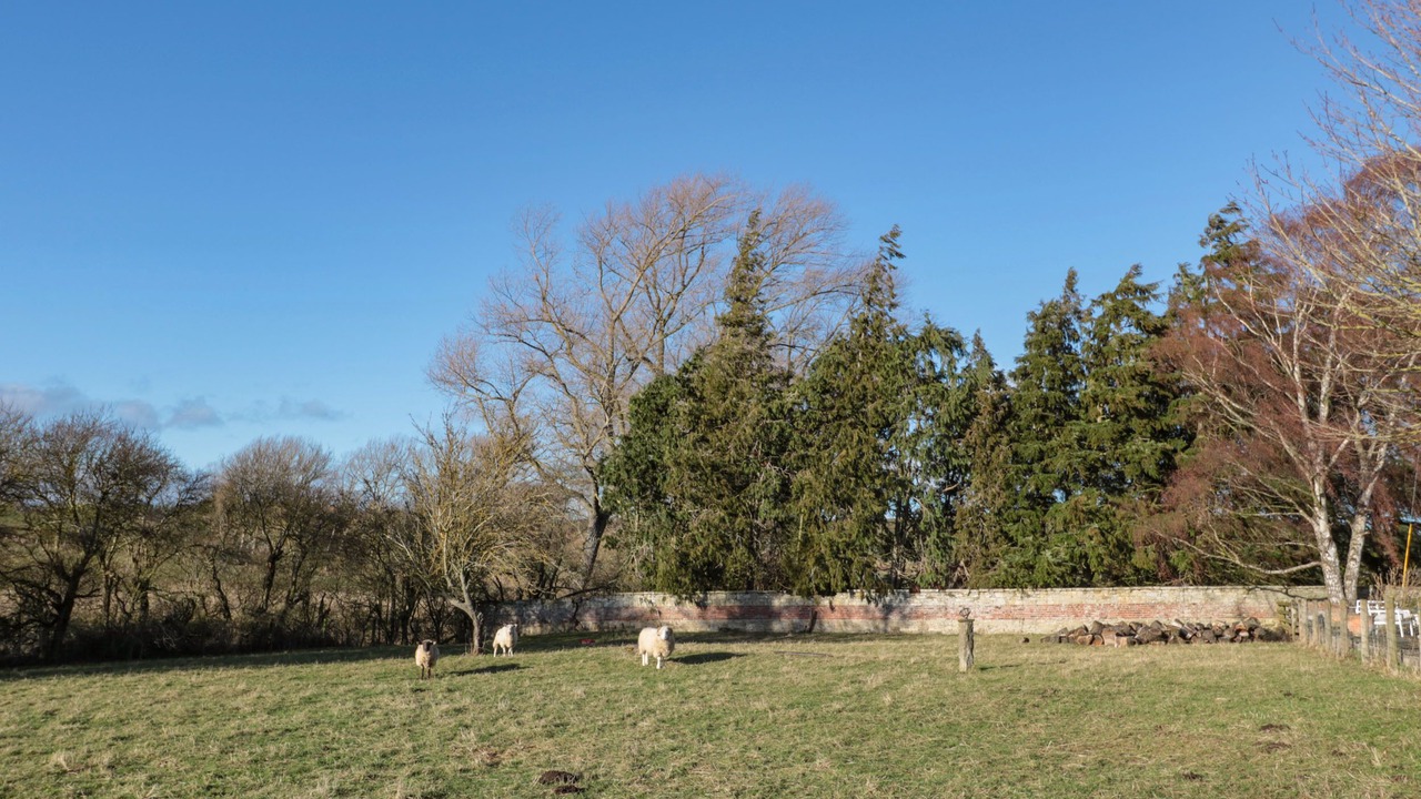 Photo of Others in Ford