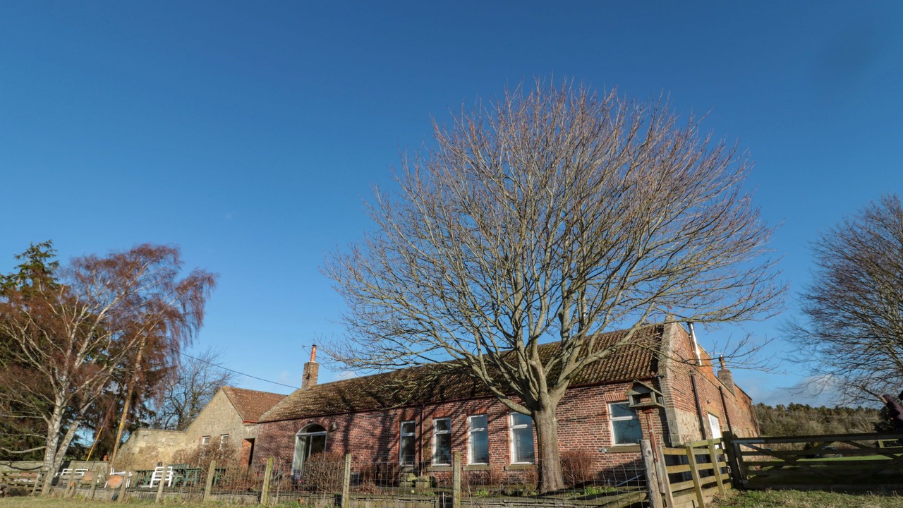 Photo of Outdoor in Ford