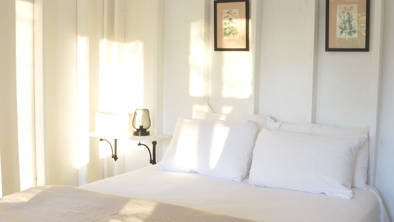 Photo of Others in Harvard