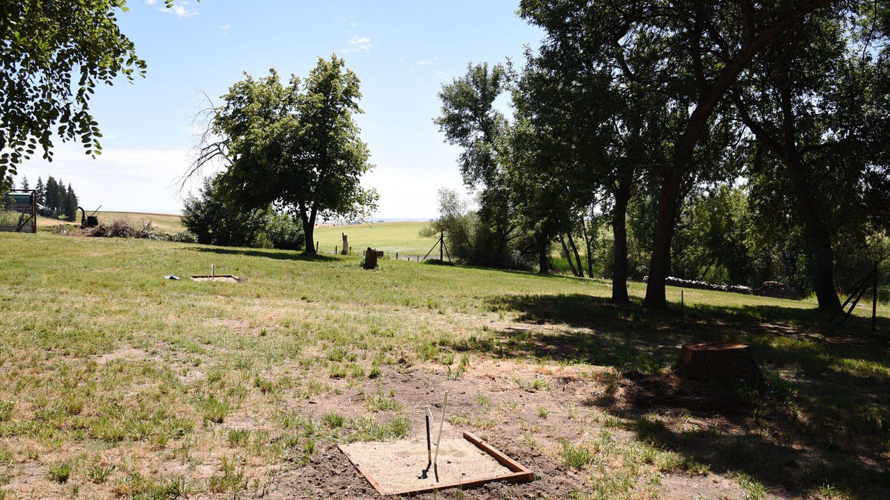 Photo of Outdoor in Harvard