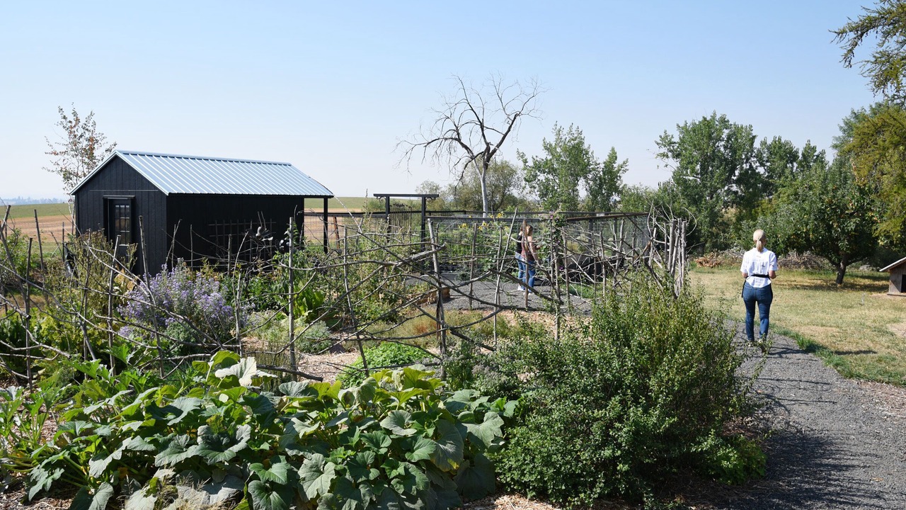 Photo of Outdoor in Harvard