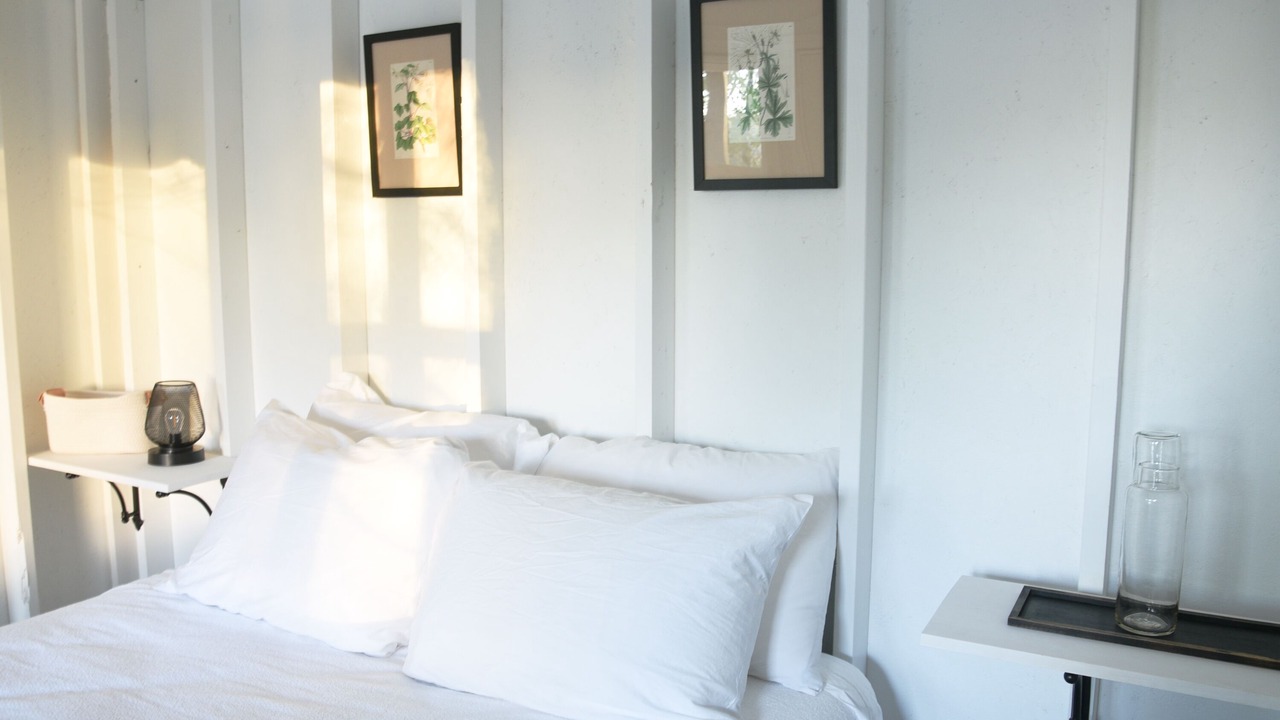 Photo of Others in Harvard