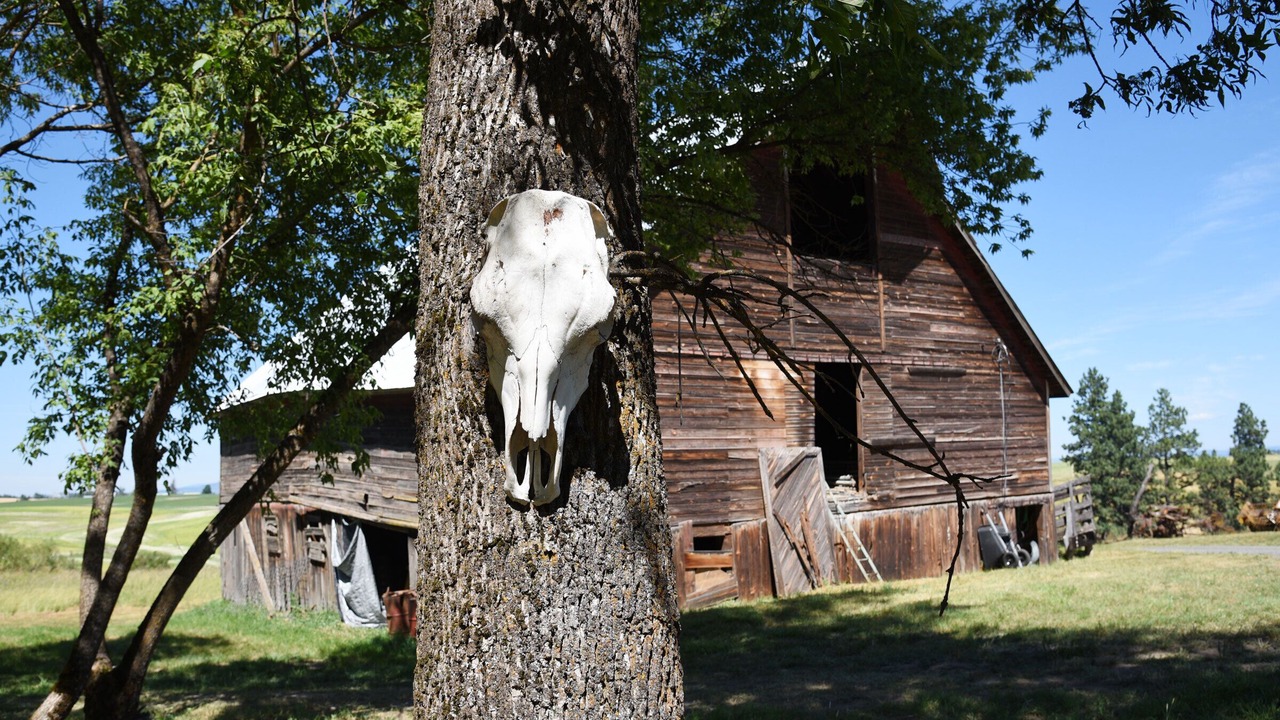 Photo of Outdoor in Harvard