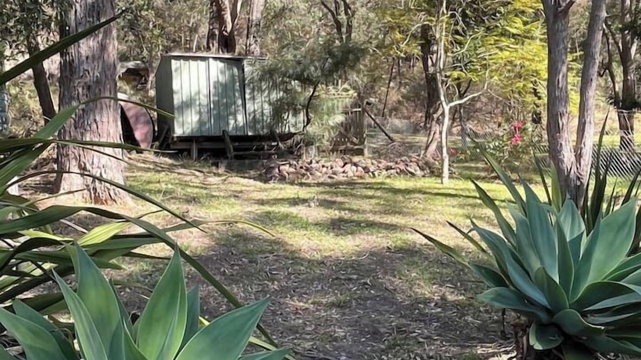 Photo of Outdoor in Milsons Passage