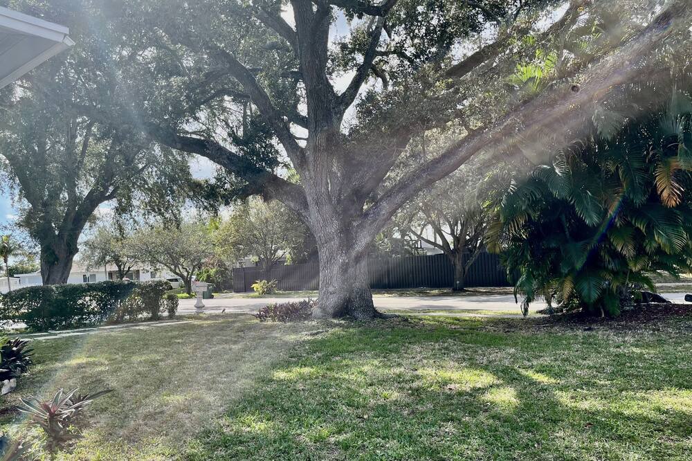 Photo of Outdoor in Ives Estates