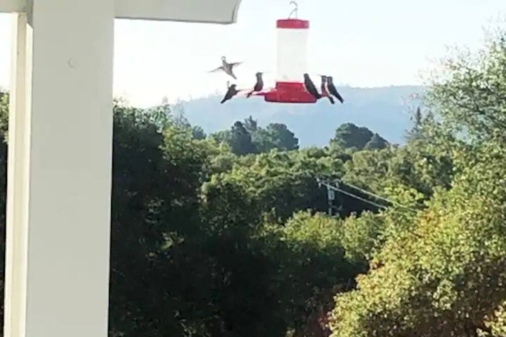 Photo of Outdoor in Newcastle