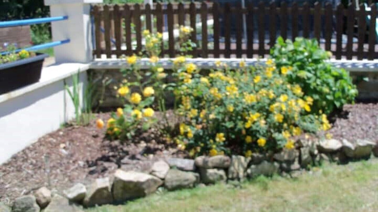 Photo of Outdoor in Cressat