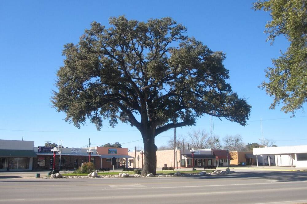 Photo of Others in Pleasanton
