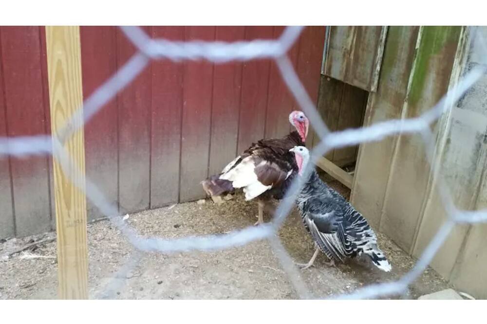 Photo of Others in Fredericksburg