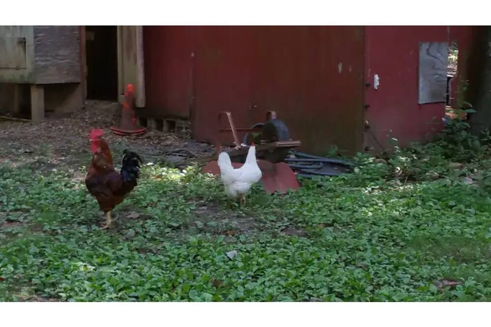 Photo of Others in Fredericksburg