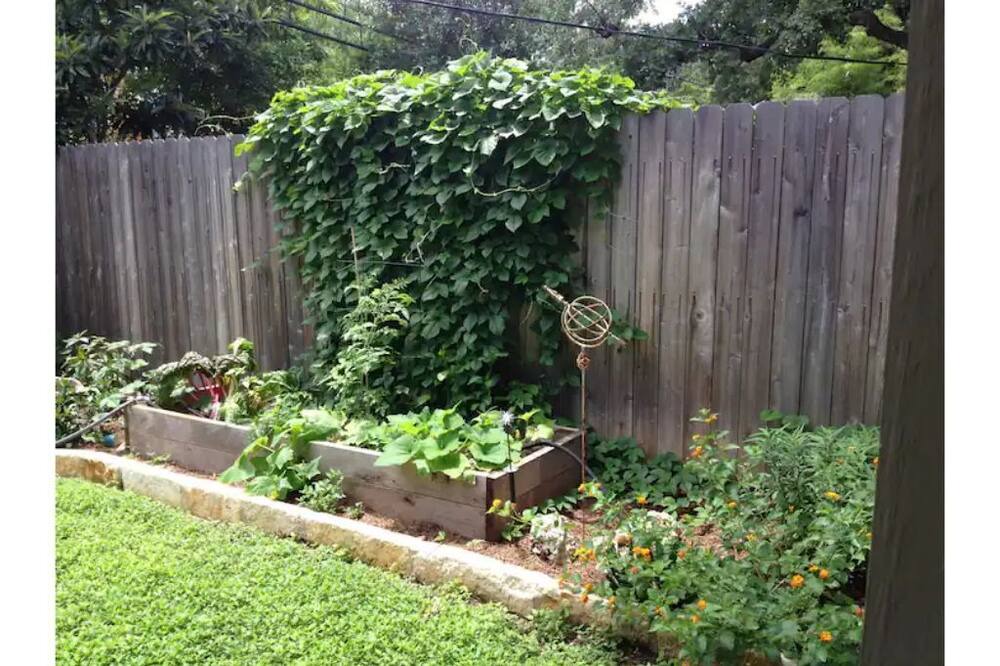 Photo of Outdoor in Clarksville
