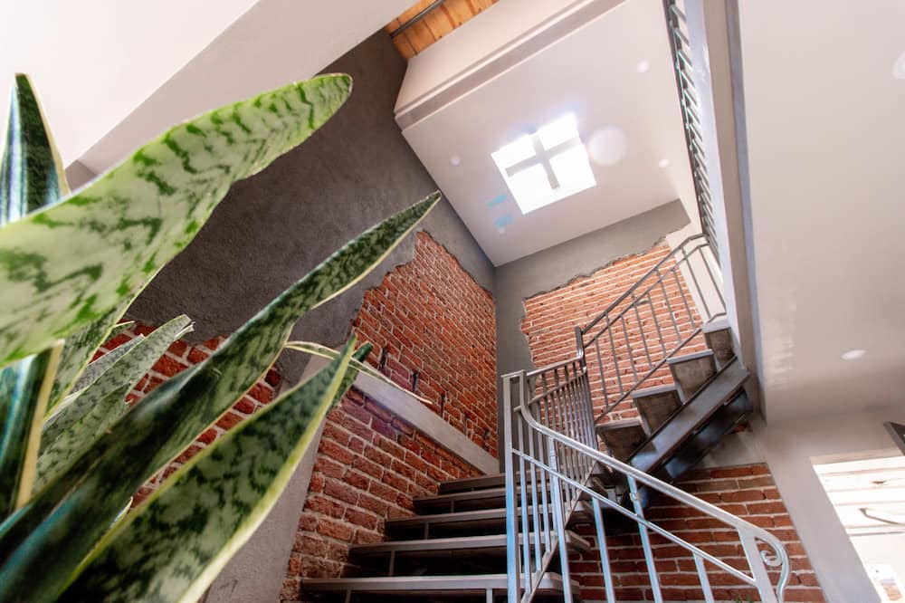 Photo of Others in Tecate