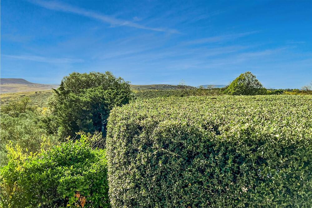 Photo of Bedroom in Ginasservis