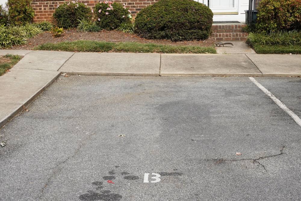 Photo of Others in Greensboro