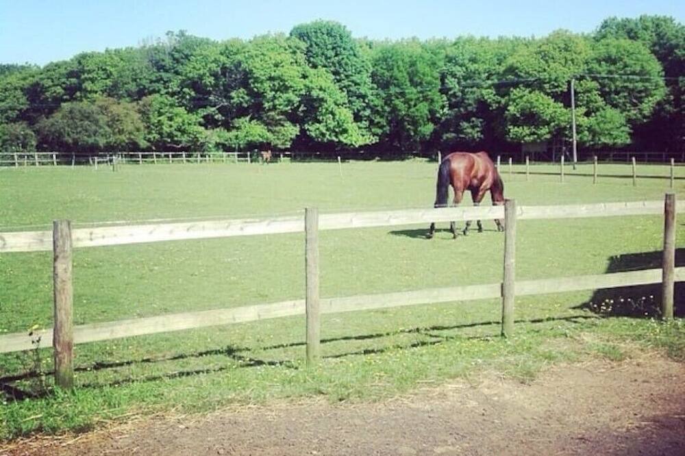 Photo of Others in Eccles