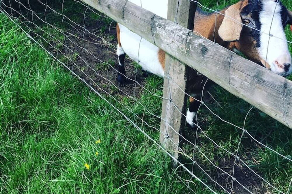 Photo of Bathroom in Eccles