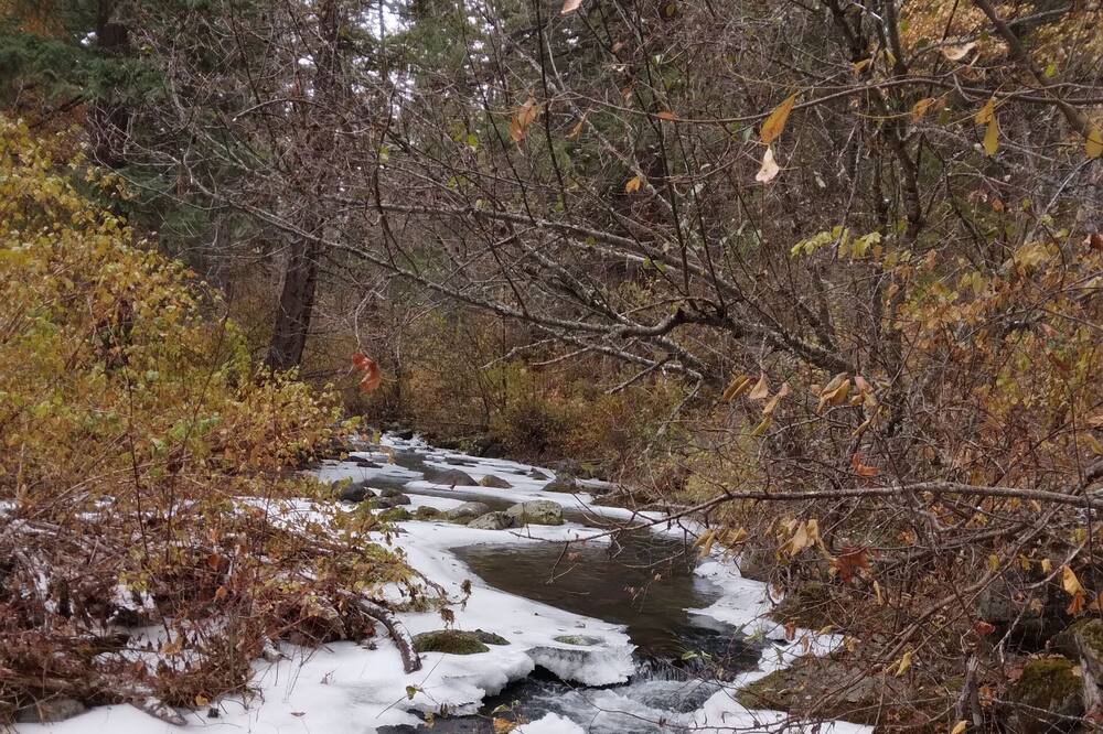 Photo of Outdoor in Wamic