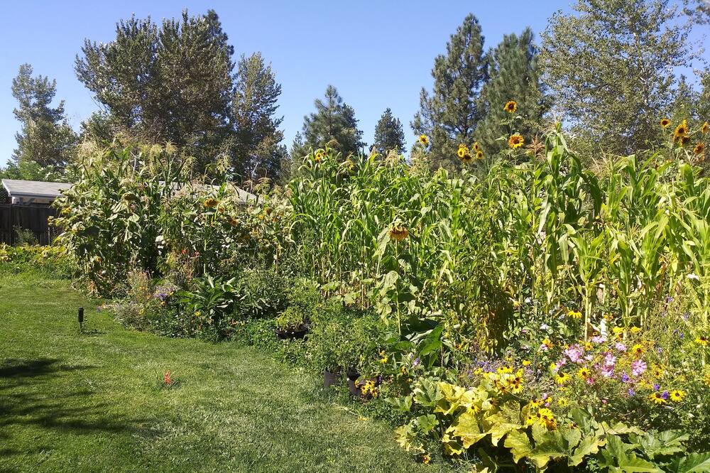 Photo of Outdoor in Wamic