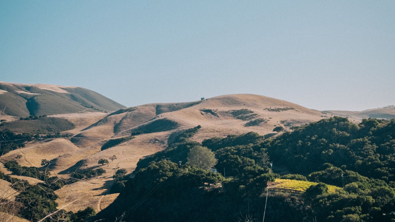 Photo of Outdoor in Carmel Valley