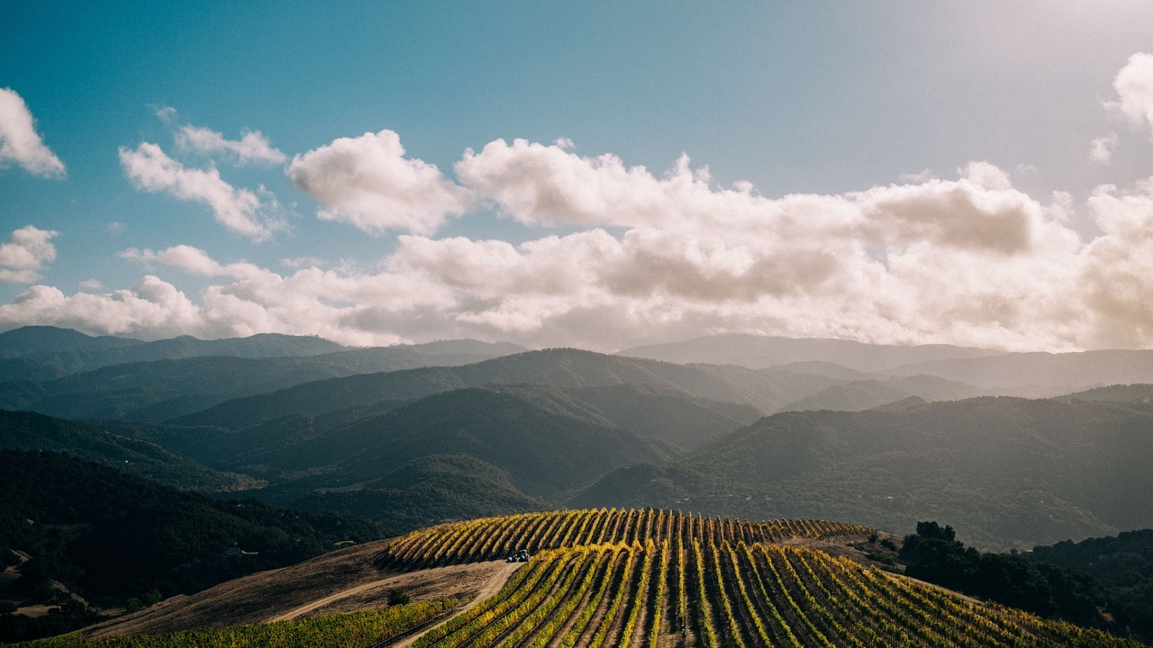 Photo of Outdoor in Carmel Valley