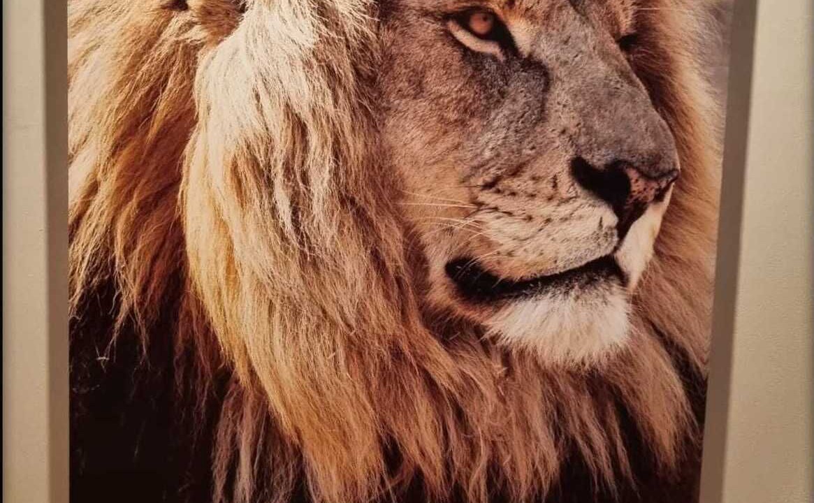 Photo of Bedroom in Bernin