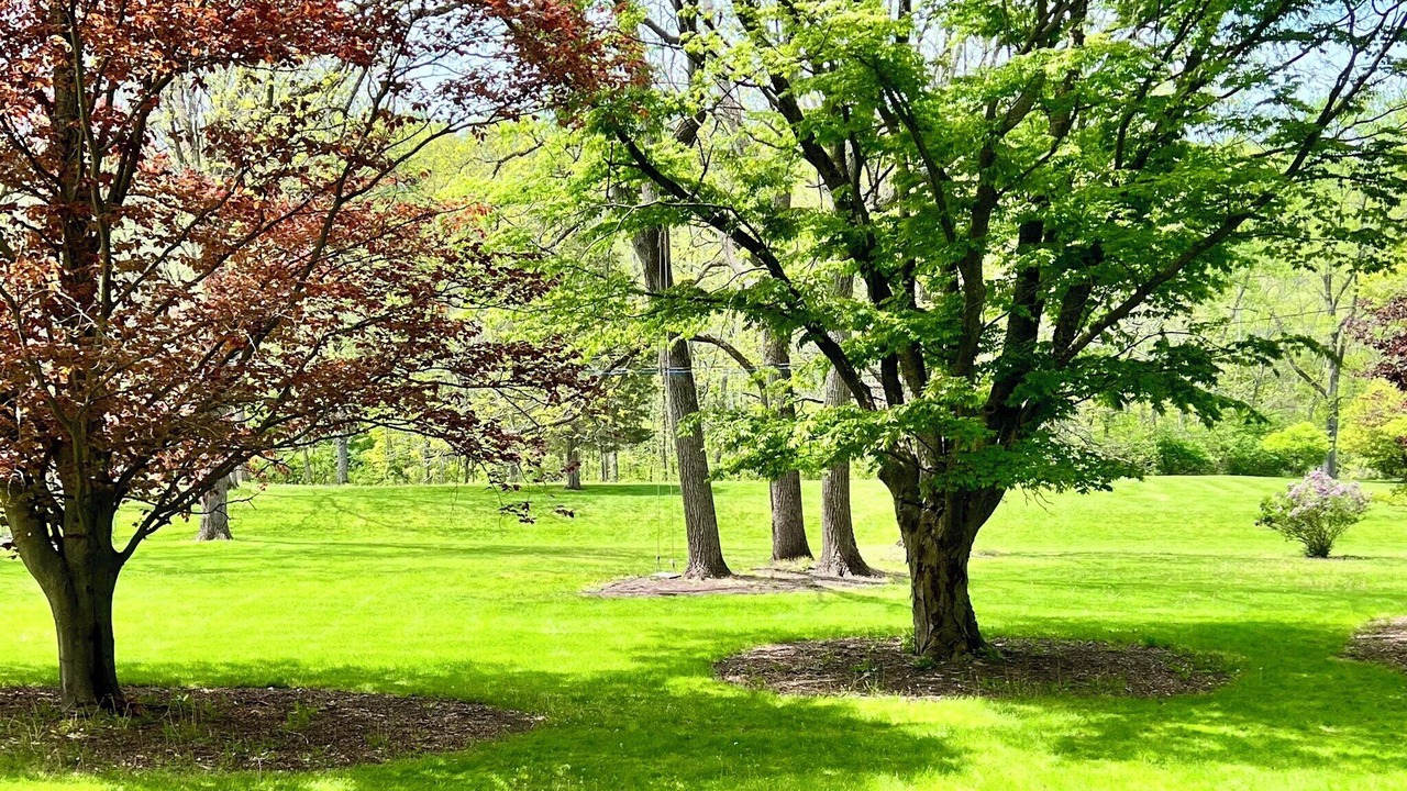 Photo of Outdoor in Newfield
