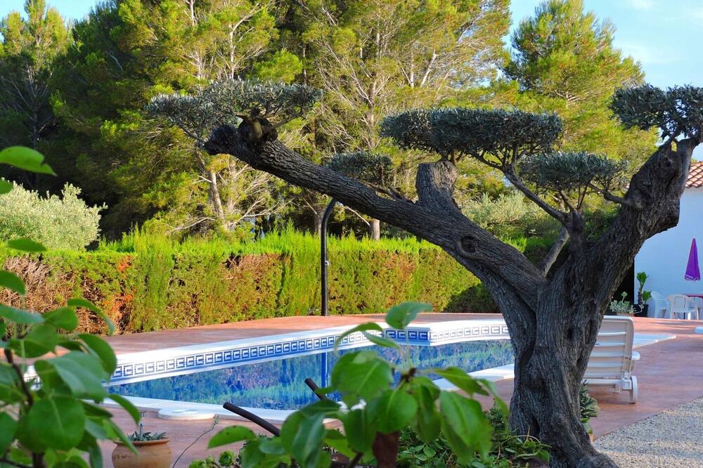 Photo of Outdoor in L Almadrava