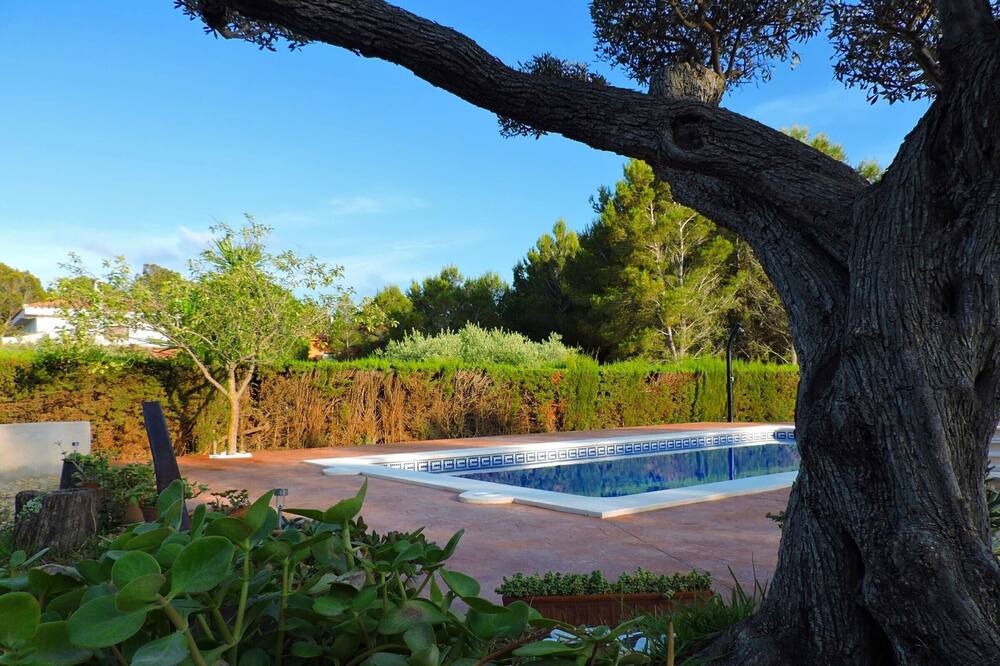 Photo of Outdoor in L Almadrava
