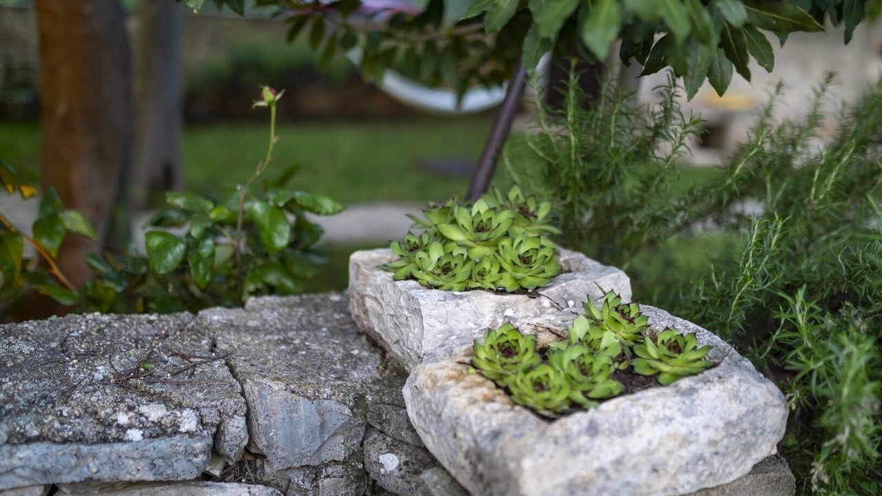 Photo of Outdoor in Puljane