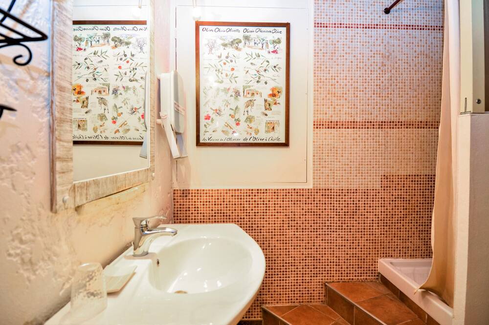 Photo of Bathroom in Saint-Andre-d'Olerargues