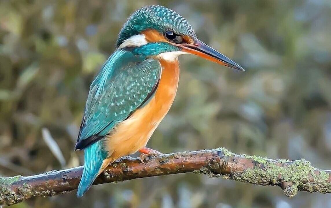 Photo of Others in Legbourne