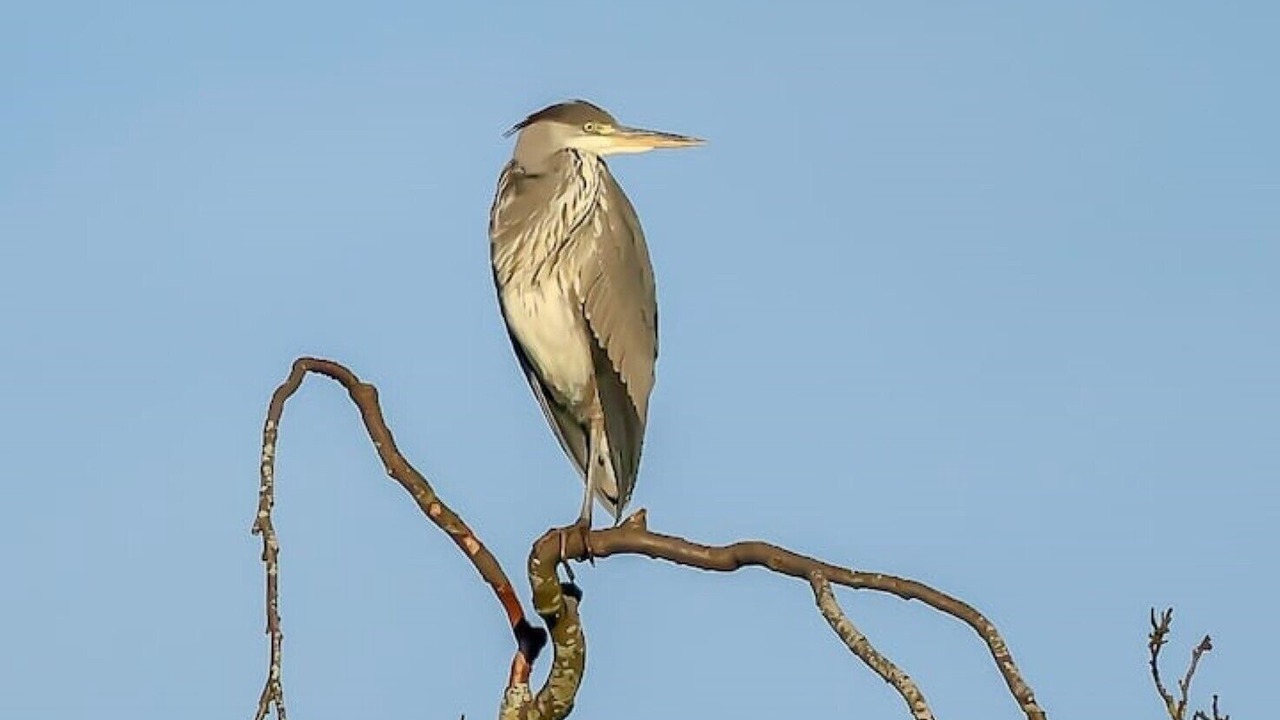 Photo of Outdoor in Legbourne