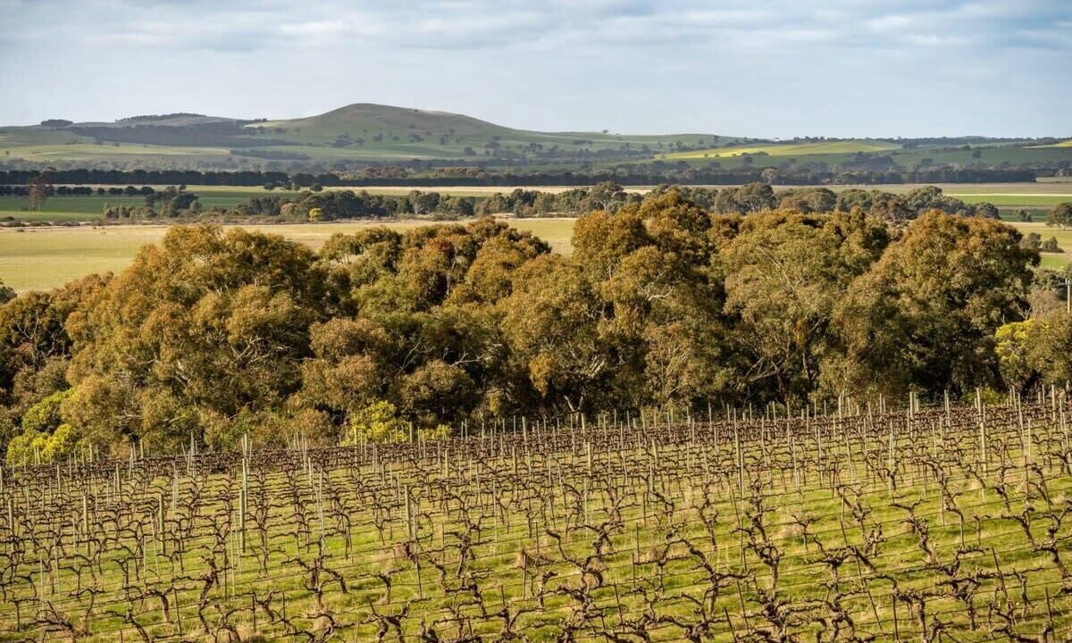 Photo of Outdoor in Ararat