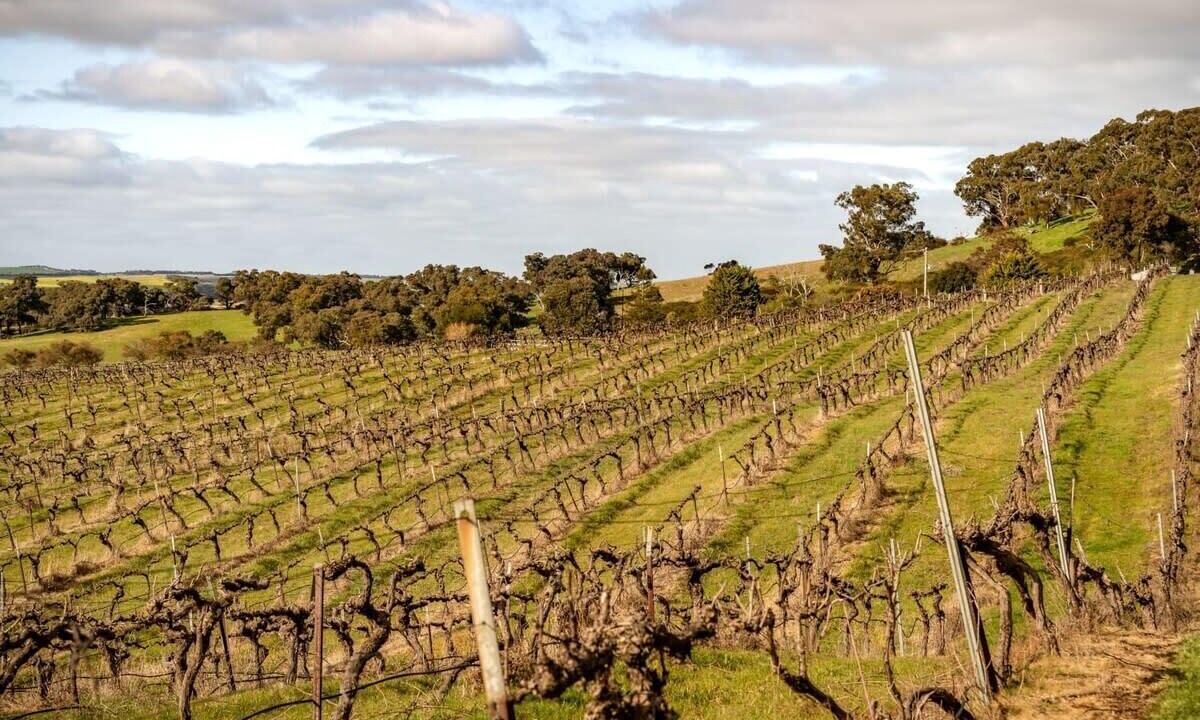 Photo of Outdoor in Ararat