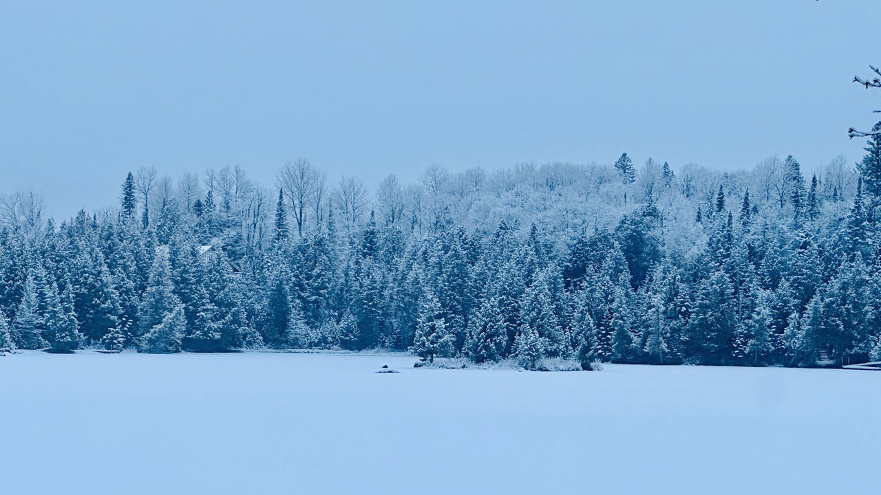Photo of Others in Wentworth-Nord