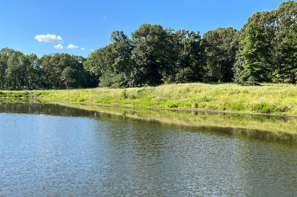 Photo of Outdoor in Tyler
