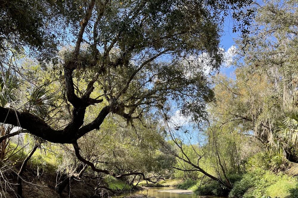 Photo of Outdoor in Arcadia