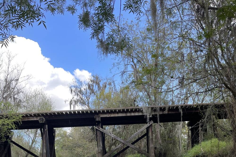 Photo of Outdoor in Arcadia