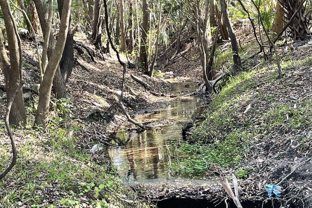 Photo of Outdoor in Arcadia