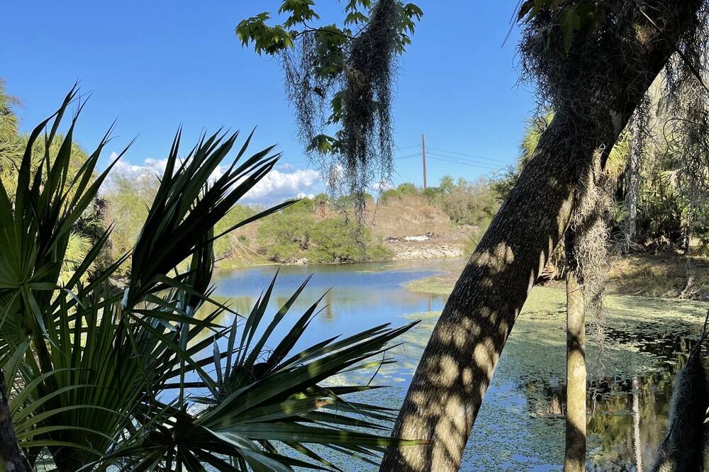Photo of Outdoor in Arcadia