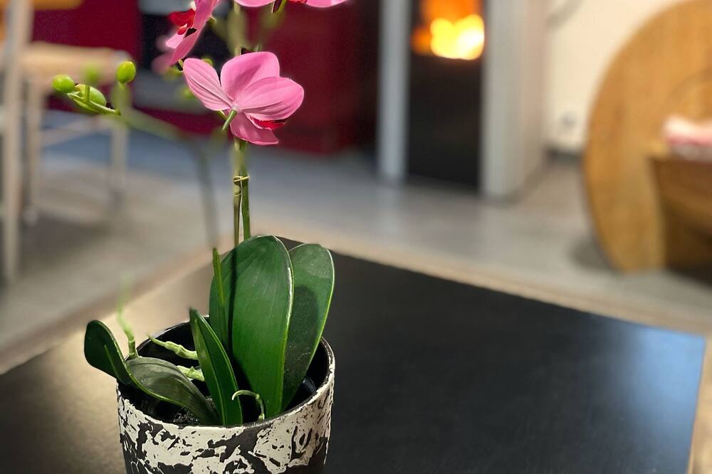 Photo of Others in Basseneville