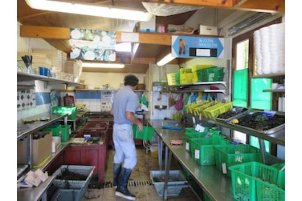 Photo of Kitchen in Saint-Armel