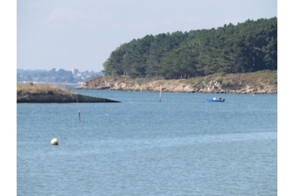 Photo of Others in Saint-Armel