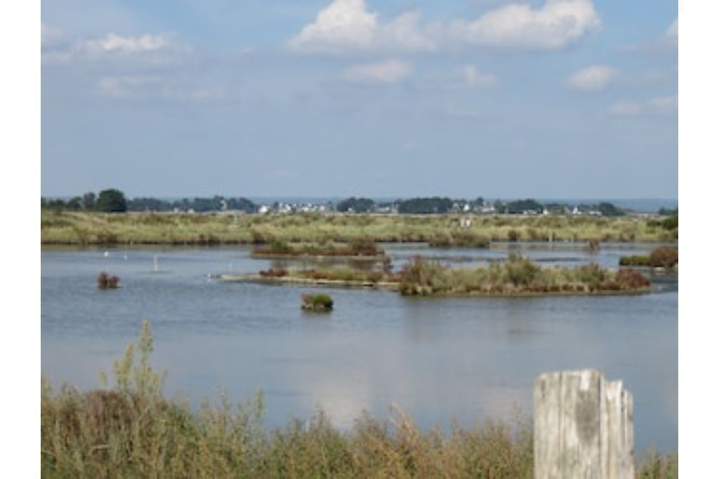 Photo of Outdoor in Saint-Armel