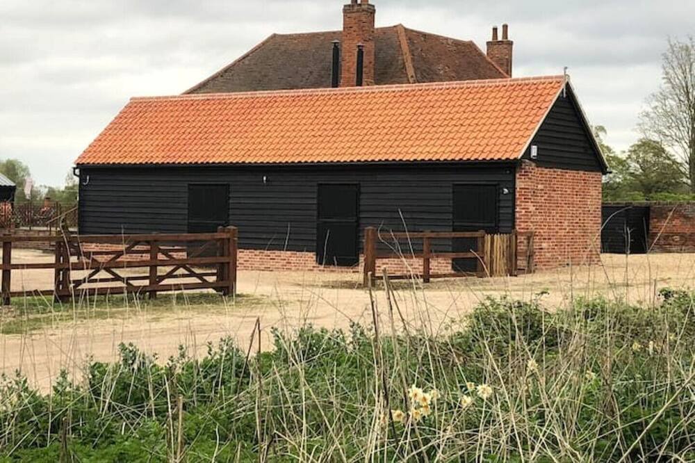 Photo of Outdoor in Birch